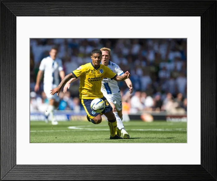 Framed Print : Brighton & Hove Albion vs. Leeds United: Away Game (August 2013) Framed Print : Brighton & Hove Albion vs. Leeds United: Away Game (August 2013)
