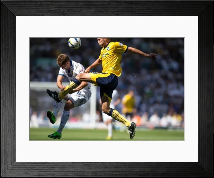 Framed Print : Brighton & Hove Albion vs. Leeds United: 2013-14 Season Away Game (3-8-2013) Framed Print : Brighton & Hove Albion vs. Leeds United: 2013-14 Season Away Game (3-8-2013)