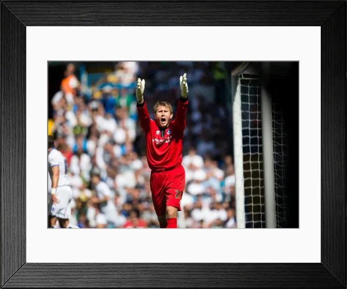 Framed Print : Brighton & Hove Albion vs. Leeds United: 2013-14 Away Game Framed Print : Brighton & Hove Albion vs. Leeds United: 2013-14 Away Game