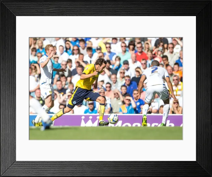 Framed Print : Brighton & Hove Albion vs. Leeds United: 2013-14 Away Game Framed Print : Brighton & Hove Albion vs. Leeds United: 2013-14 Away Game