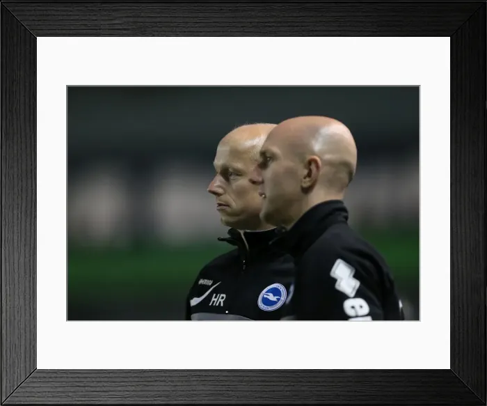 Framed Print : Brighton & Hove Albion vs Newport County AFC: Home Game - August 2013 Framed Print : Brighton & Hove Albion vs Newport County AFC: Home Game - August 2013