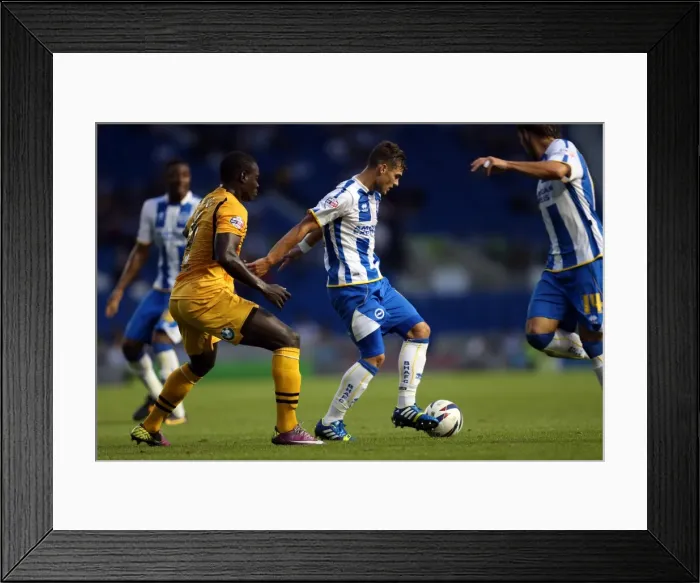 Framed Print : Brighton & Hove Albion vs Newport County AFC: Home Game - August 2013 Framed Print : Brighton & Hove Albion vs Newport County AFC: Home Game - August 2013