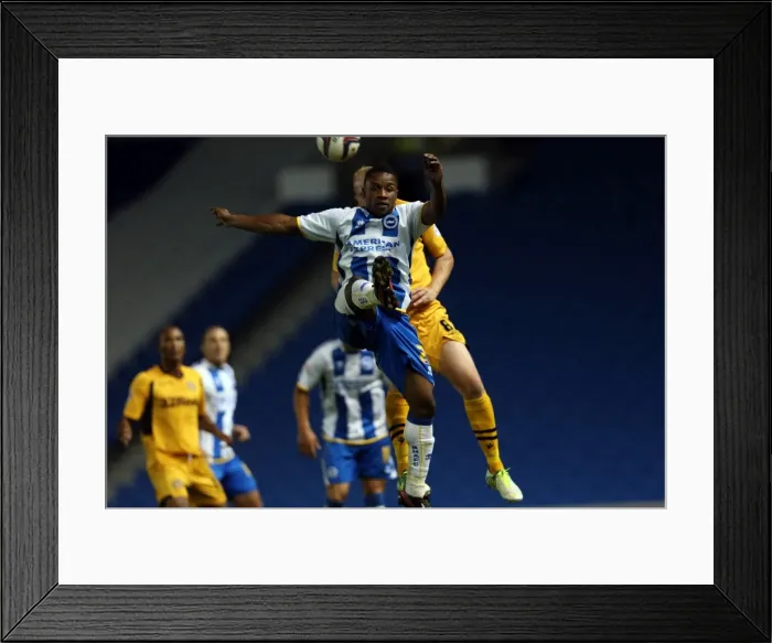 Framed Print : Brighton & Hove Albion vs Newport County AFC: 2013-14 Home Game Framed Print : Brighton & Hove Albion vs Newport County AFC: 2013-14 Home Game