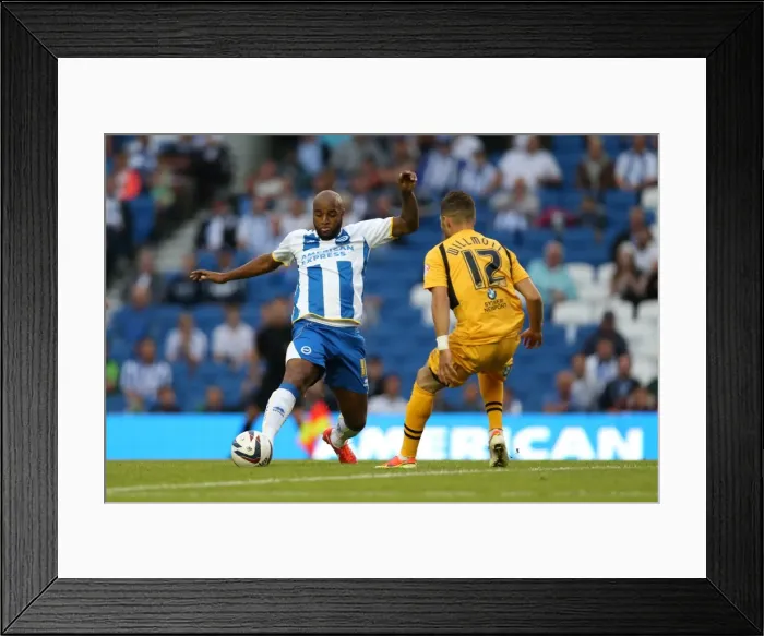 Framed Print : Brighton & Hove Albion vs Newport County AFC: 2013-14 Home Game Highlights (August 6, 2013) Framed Print : Brighton & Hove Albion vs Newport County AFC: 2013-14 Home Game Highlights (August 6, 2013)