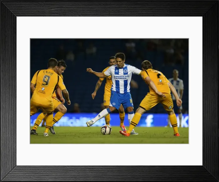 Framed Print : Brighton & Hove Albion vs Newport County AFC: Home Game - August 2013 Framed Print : Brighton & Hove Albion vs Newport County AFC: Home Game - August 2013