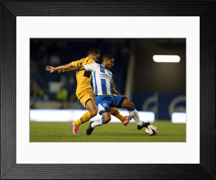 Framed Print : Brighton & Hove Albion vs Newport County AFC: Home Game - August 2013 Framed Print : Brighton & Hove Albion vs Newport County AFC: Home Game - August 2013