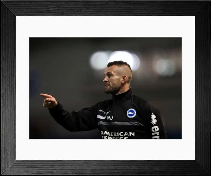 Framed Print : Brighton & Hove Albion vs Newport County AFC: Home Game - August 2013 Framed Print : Brighton & Hove Albion vs Newport County AFC: Home Game - August 2013