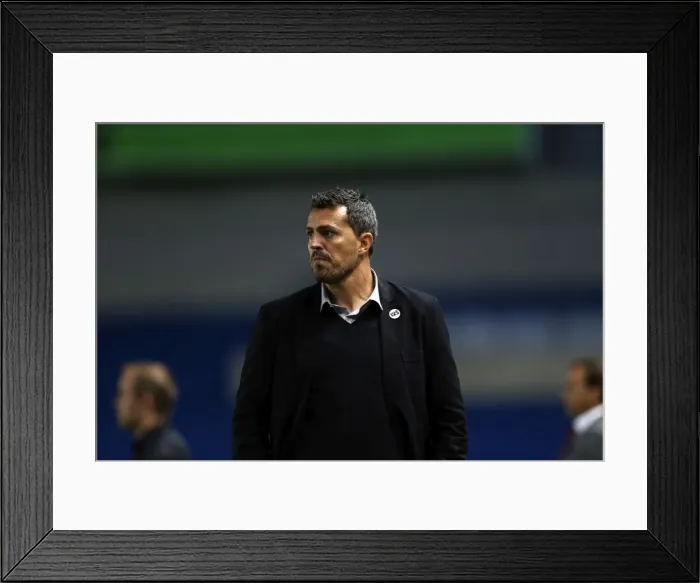 Framed Print : Brighton & Hove Albion vs Newport County AFC (2013-14 Home Game) Framed Print : Brighton & Hove Albion vs Newport County AFC (2013-14 Home Game)
