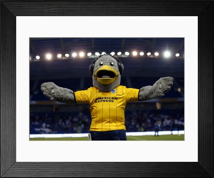 Framed Print : Brighton & Hove Albion vs Newport County AFC (2013-14): Home Game Highlights - 6-8-2013 Framed Print : Brighton & Hove Albion vs Newport County AFC (2013-14): Home Game Highlights - 6-8-2013