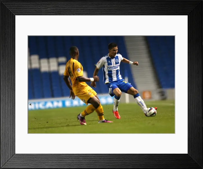 Framed Print : Brighton & Hove Albion vs Newport County AFC (2013-14 Home Game)
