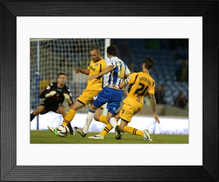 Framed Print : Brighton & Hove Albion vs Newport County AFC: Home Game - August 2013 Framed Print : Brighton & Hove Albion vs Newport County AFC: Home Game - August 2013