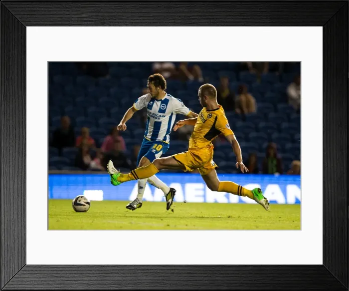Framed Print : Brighton & Hove Albion vs Newport County AFC (2013-14 Home Game) Framed Print : Brighton & Hove Albion vs Newport County AFC (2013-14 Home Game)