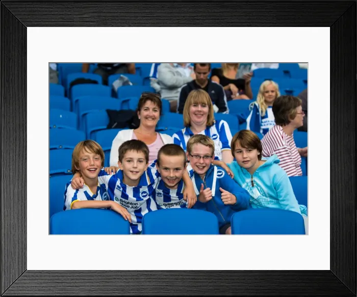 Framed Print : Brighton & Hove Albion vs Newport County AFC (2013-14 Season): Home Game Highlights
