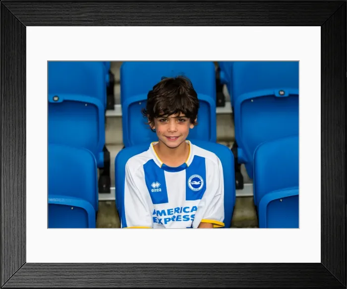 Framed Print : Brighton & Hove Albion vs Newport County AFC: Home Game - August 2013 Framed Print : Brighton & Hove Albion vs Newport County AFC: Home Game - August 2013
