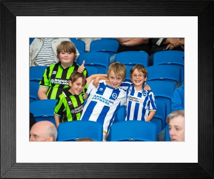 Framed Print : Brighton & Hove Albion vs Newport County AFC: 2013-14 Home Game Framed Print : Brighton & Hove Albion vs Newport County AFC: 2013-14 Home Game
