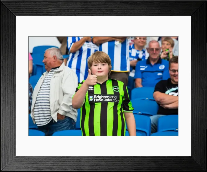 Framed Print : Brighton & Hove Albion vs Newport County AFC: 2013-14 Home Game Framed Print : Brighton & Hove Albion vs Newport County AFC: 2013-14 Home Game