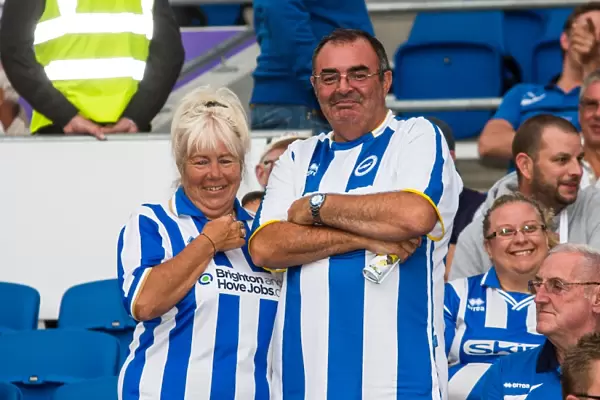 Crowd shots at the Amex - 2013-14