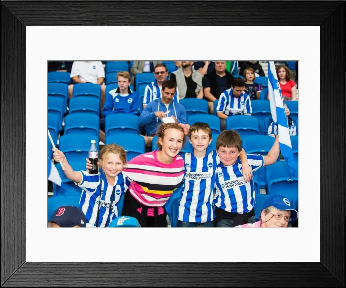 Framed Print : Brighton & Hove Albion vs Newport County AFC: FA Cup Clash - August 2013 (Home Game) Framed Print : Brighton & Hove Albion vs Newport County AFC: FA Cup Clash - August 2013 (Home Game)