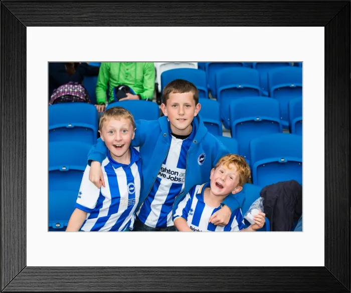 Framed Print : Brighton & Hove Albion vs Newport County AFC (2013-14 Home Game) Framed Print : Brighton & Hove Albion vs Newport County AFC (2013-14 Home Game)