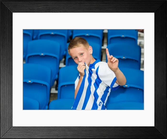 Framed Print : Brighton & Hove Albion vs Newport County AFC (2013-14 Home Game) Framed Print : Brighton & Hove Albion vs Newport County AFC (2013-14 Home Game)