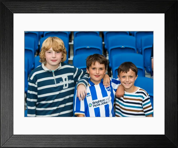 Framed Print : Brighton And Hove Albion Season 2013-14: 2013-14 Home Games: Newport County AFC - 06-08-2013 Framed Print : Brighton And Hove Albion Season 2013-14: 2013-14 Home Games: Newport County AFC - 06-08-2013