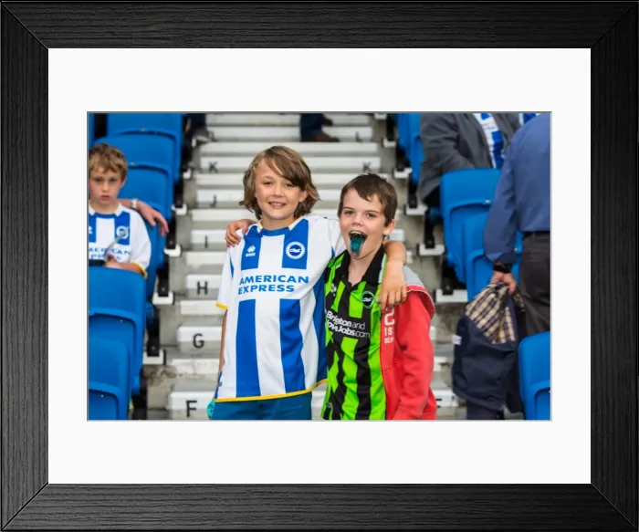 Framed Print : Brighton & Hove Albion vs Newport County AFC: Home Game - August 2013 Framed Print : Brighton & Hove Albion vs Newport County AFC: Home Game - August 2013