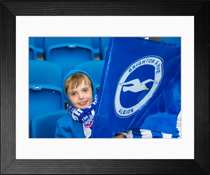 Framed Print : Brighton & Hove Albion vs Newport County AFC: 2013-14 Home Game Highlights (August 6, 2013) Framed Print : Brighton & Hove Albion vs Newport County AFC: 2013-14 Home Game Highlights (August 6, 2013)