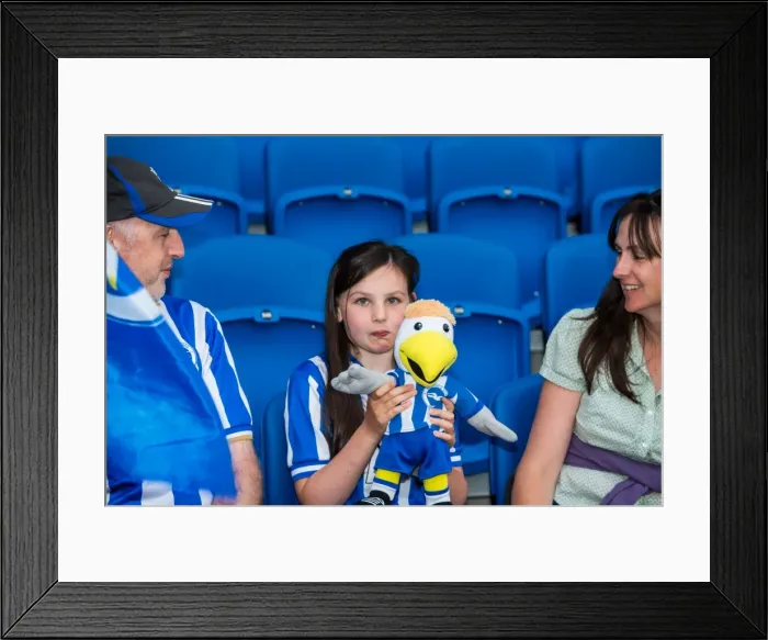 Framed Print : Brighton & Hove Albion vs Newport County AFC (2013-14 Season): Home Game Highlights Framed Print : Brighton & Hove Albion vs Newport County AFC (2013-14 Season): Home Game Highlights