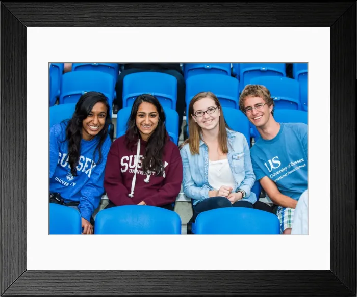 Framed Print : Brighton & Hove Albion vs Newport County AFC: Home Game Highlights (2013-08-06) Framed Print : Brighton & Hove Albion vs Newport County AFC: Home Game Highlights (2013-08-06)