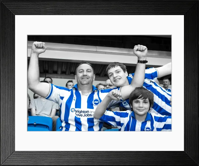Framed Print : Crowd shots at the Amex - 2013-14 Framed Print : Crowd shots at the Amex - 2013-14