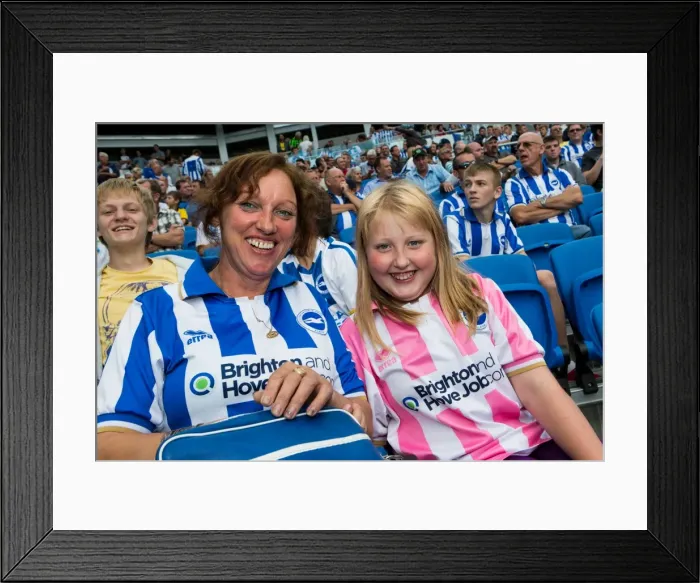 Framed Print : Brighton & Hove Albion vs. Derby County: A Historic Home Game (2013-14 Season) Framed Print : Brighton & Hove Albion vs. Derby County: A Historic Home Game (2013-14 Season)