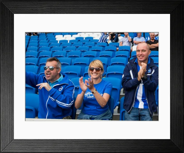 Framed Print : Brighton & Hove Albion vs. Derby County: A Historic Home Game (2013-14 Season) Framed Print : Brighton & Hove Albion vs. Derby County: A Historic Home Game (2013-14 Season)