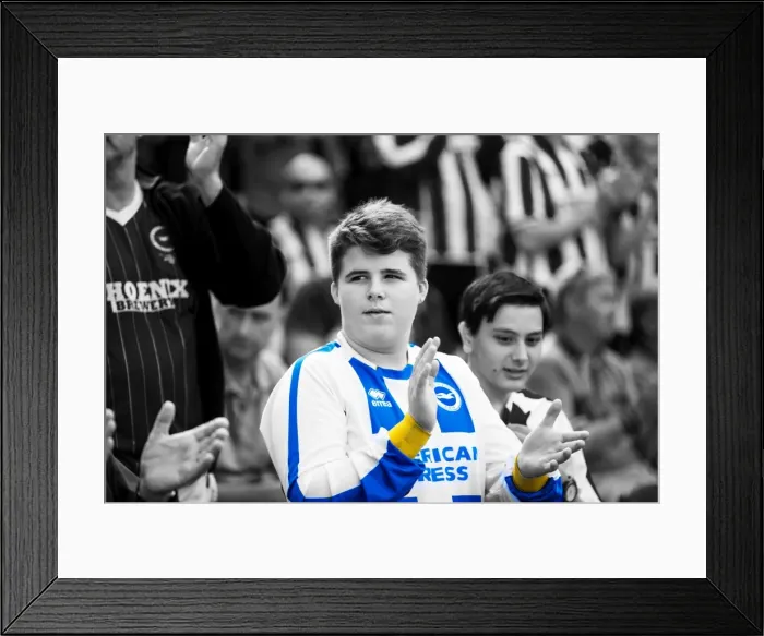 Framed Print : Electric Atmosphere: Brighton & Hove Albion Fans in Full Force at the Amex Stadium (Derby County, Aug 10, 2013) Framed Print : Electric Atmosphere: Brighton & Hove Albion Fans in Full Force at the Amex Stadium (Derby County, Aug 10, 2013)