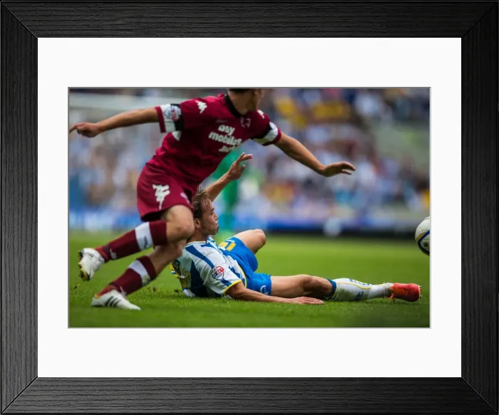 Framed Print : Brighton & Hove Albion vs. Derby County: A Historic Home Game (2013-14 Season) Framed Print : Brighton & Hove Albion vs. Derby County: A Historic Home Game (2013-14 Season)