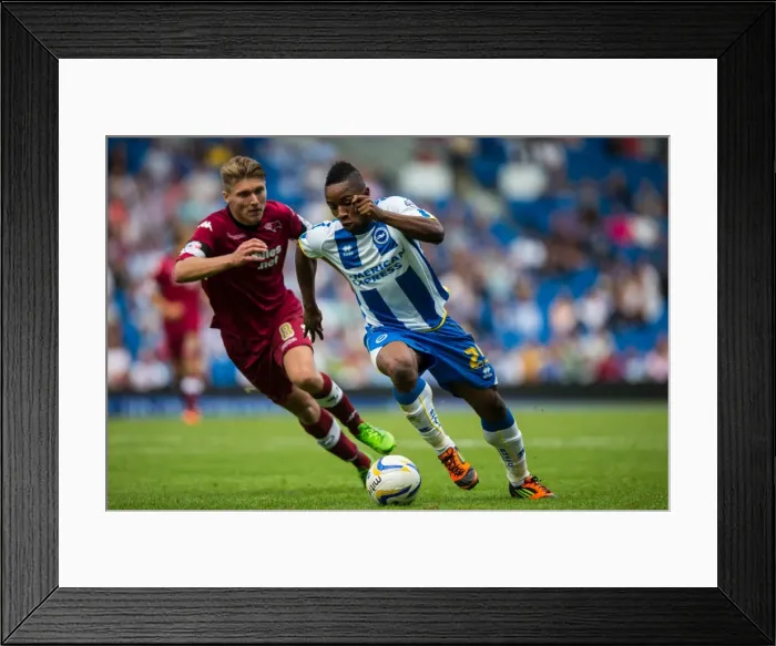 Framed Print : Brighton & Hove Albion vs. Derby County: A Historic 10-08-2013 Home Game (10-13): 10 Goals and Thrills Framed Print : Brighton & Hove Albion vs. Derby County: A Historic 10-08-2013 Home Game (10-13): 10 Goals and Thrills