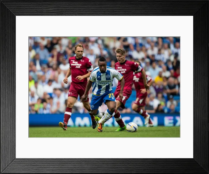 Framed Print : Brighton & Hove Albion vs. Derby County: Historic 10-08-2013 Home Game (2013-14 Season) Framed Print : Brighton & Hove Albion vs. Derby County: Historic 10-08-2013 Home Game (2013-14 Season)