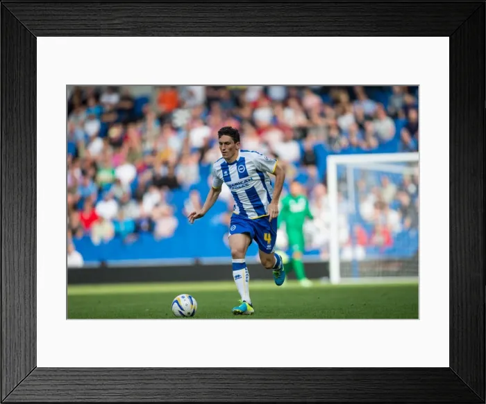 Framed Print : Brighton & Hove Albion vs. Derby County: A Historic Home Game (2013-14 Season) Framed Print : Brighton & Hove Albion vs. Derby County: A Historic Home Game (2013-14 Season)
