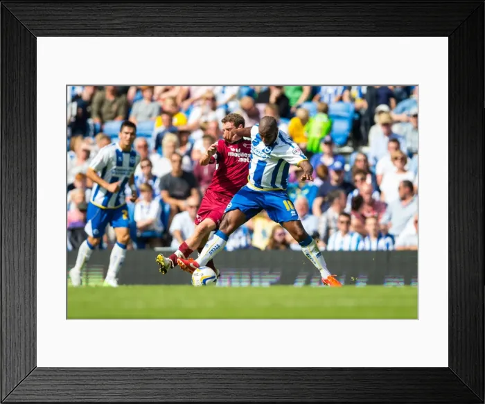 Framed Print : Brighton & Hove Albion vs. Derby County: A Historic Home Game (2013-14 Season) Framed Print : Brighton & Hove Albion vs. Derby County: A Historic Home Game (2013-14 Season)