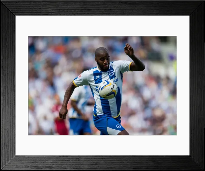 Framed Print : Brighton & Hove Albion vs. Derby County: A Memorable Home Game (2013-14 Season) Framed Print : Brighton & Hove Albion vs. Derby County: A Memorable Home Game (2013-14 Season)