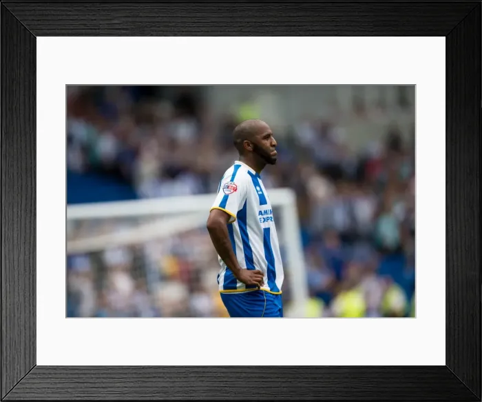 Framed Print : Brighton & Hove Albion vs. Derby County: A Historic 10-08-2013 Home Game (10-08-2013: Derby County) Framed Print : Brighton & Hove Albion vs. Derby County: A Historic 10-08-2013 Home Game (10-08-2013: Derby County)