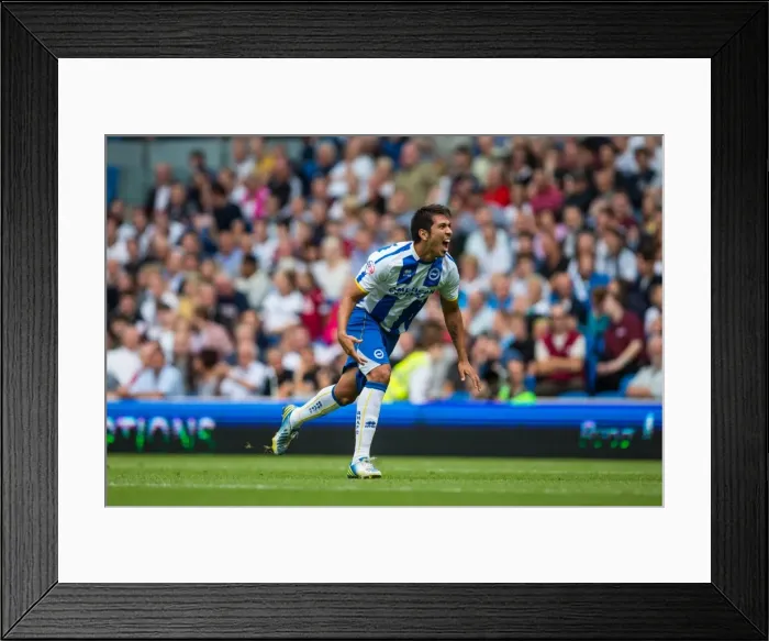 Framed Print : Brighton & Hove Albion vs. Derby County: A Historic Home Game (2013-14 Season) Framed Print : Brighton & Hove Albion vs. Derby County: A Historic Home Game (2013-14 Season)