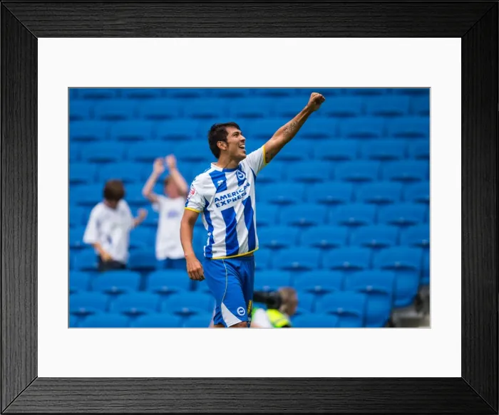 Framed Print : Brighton & Hove Albion vs. Derby County: A Historic Home Game (2013-14 Season) Framed Print : Brighton & Hove Albion vs. Derby County: A Historic Home Game (2013-14 Season)
