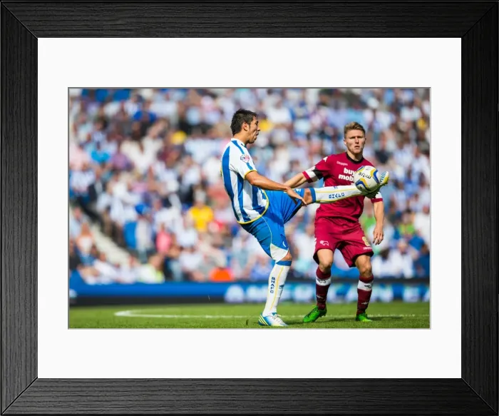 Framed Print : Brighton & Hove Albion vs. Derby County: A Memorable Home Game (2013-14 Season) Framed Print : Brighton & Hove Albion vs. Derby County: A Memorable Home Game (2013-14 Season)