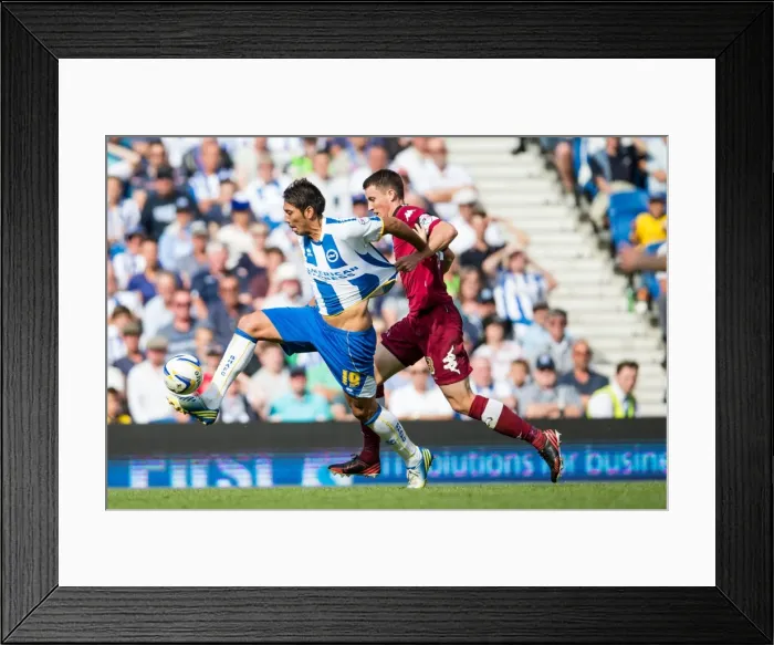 Framed Print : Brighton & Hove Albion vs. Derby County: A Historic Home Game (2013-14 Season) Framed Print : Brighton & Hove Albion vs. Derby County: A Historic Home Game (2013-14 Season)