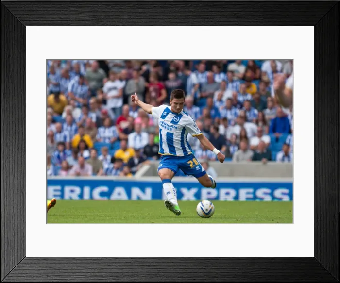Framed Print : Brighton & Hove Albion vs. Derby County: A Historic Home Game (2013-14 Season) Framed Print : Brighton & Hove Albion vs. Derby County: A Historic Home Game (2013-14 Season)