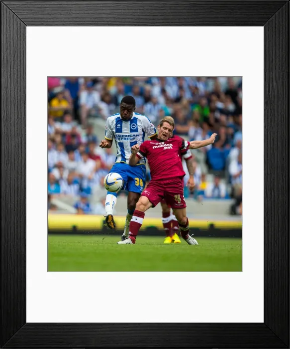 Framed Print : Brighton & Hove Albion vs. Derby County: A Historic Home Game (2013-14 Season) Framed Print : Brighton & Hove Albion vs. Derby County: A Historic Home Game (2013-14 Season)