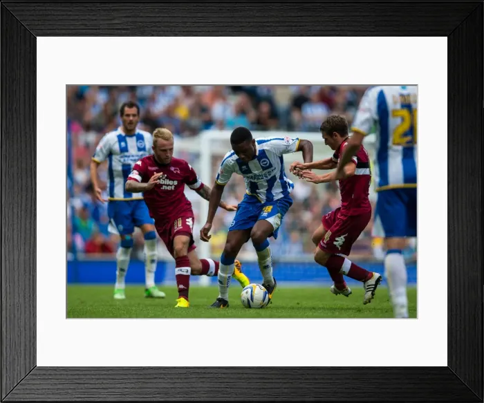 Framed Print : Brighton & Hove Albion vs. Derby County: A Historic Home Game (2013-14 Season) Framed Print : Brighton & Hove Albion vs. Derby County: A Historic Home Game (2013-14 Season)
