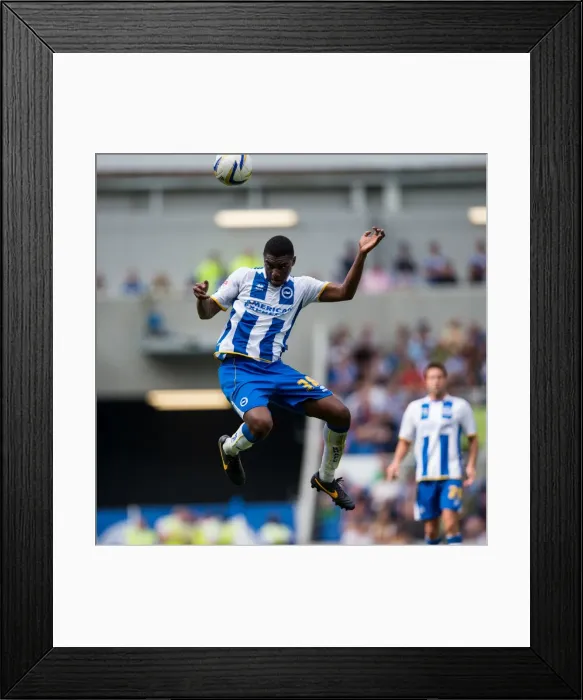 Framed Print : Brighton & Hove Albion vs. Derby County: A Historic Home Game (2013-14 Season) Framed Print : Brighton & Hove Albion vs. Derby County: A Historic Home Game (2013-14 Season)