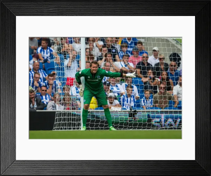 Framed Print : Brighton & Hove Albion vs. Derby County: A Historic 10-08-2013 Home Game (10-08-2013: Derby County) Framed Print : Brighton & Hove Albion vs. Derby County: A Historic 10-08-2013 Home Game (10-08-2013: Derby County)