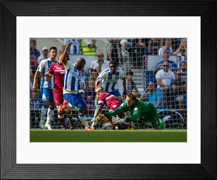 Framed Print : Brighton & Hove Albion vs. Derby County: A Historic Home Game (2013-14 Season) Framed Print : Brighton & Hove Albion vs. Derby County: A Historic Home Game (2013-14 Season)